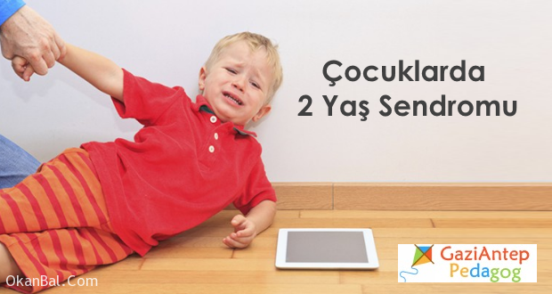 ocuklarda 2 Yaş Sendromu gaziantep pedagog