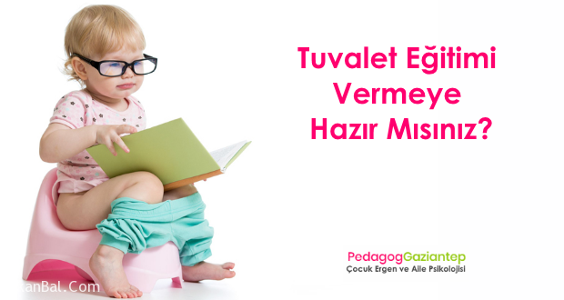 Tuvalet Eğitimi Vermeye Hazır Mısınız